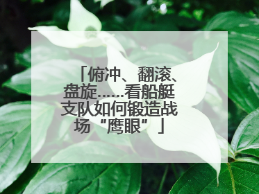 俯冲、翻滚、盘旋……看船艇支队如何锻造战场“鹰眼”